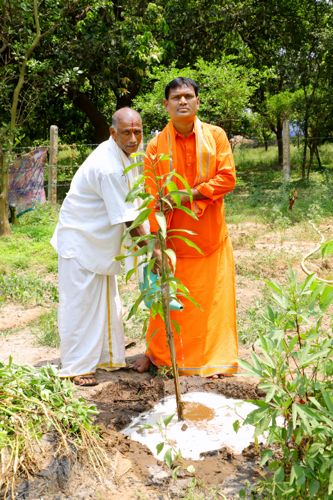 Founder planting sapling