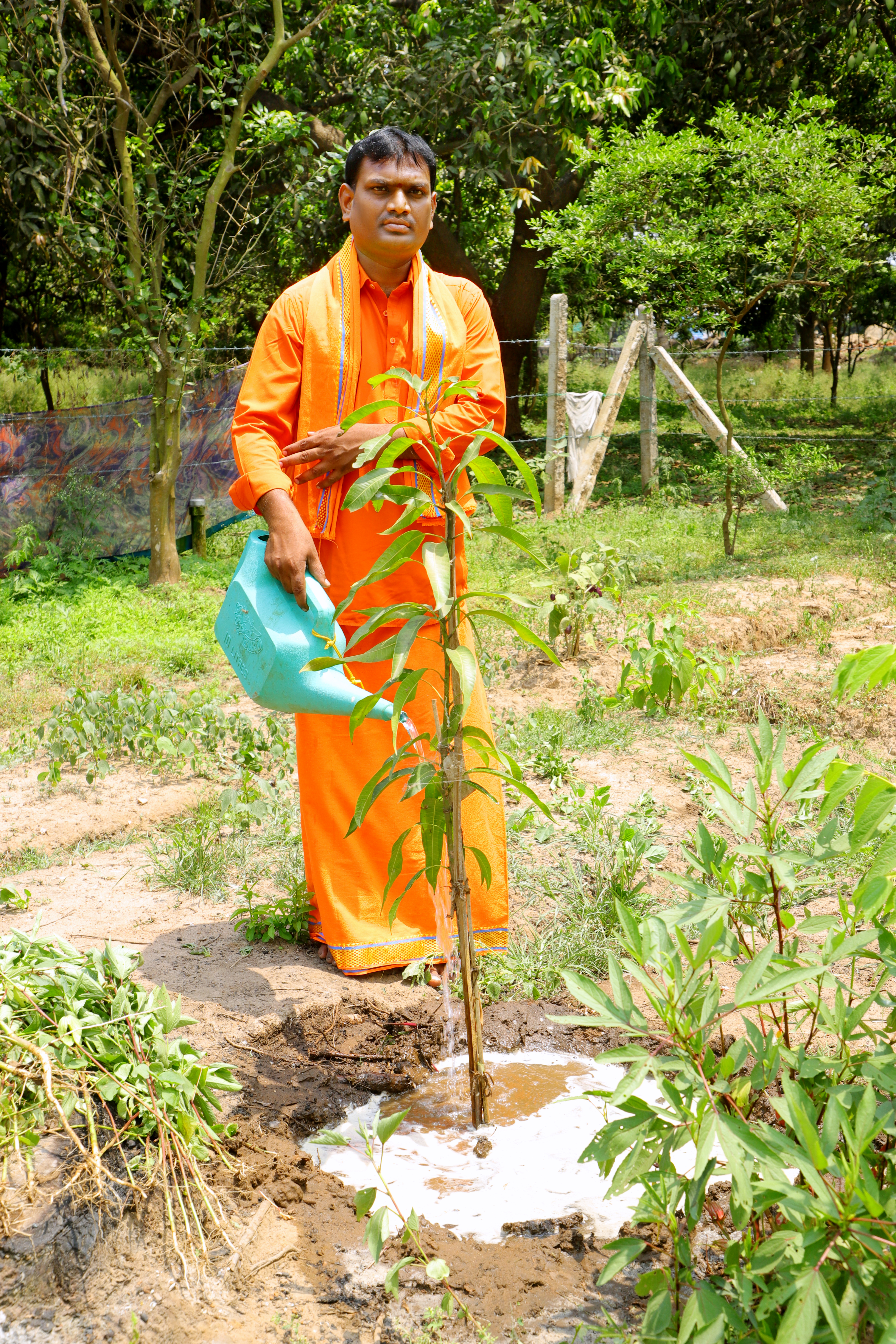 Vriksha Danam